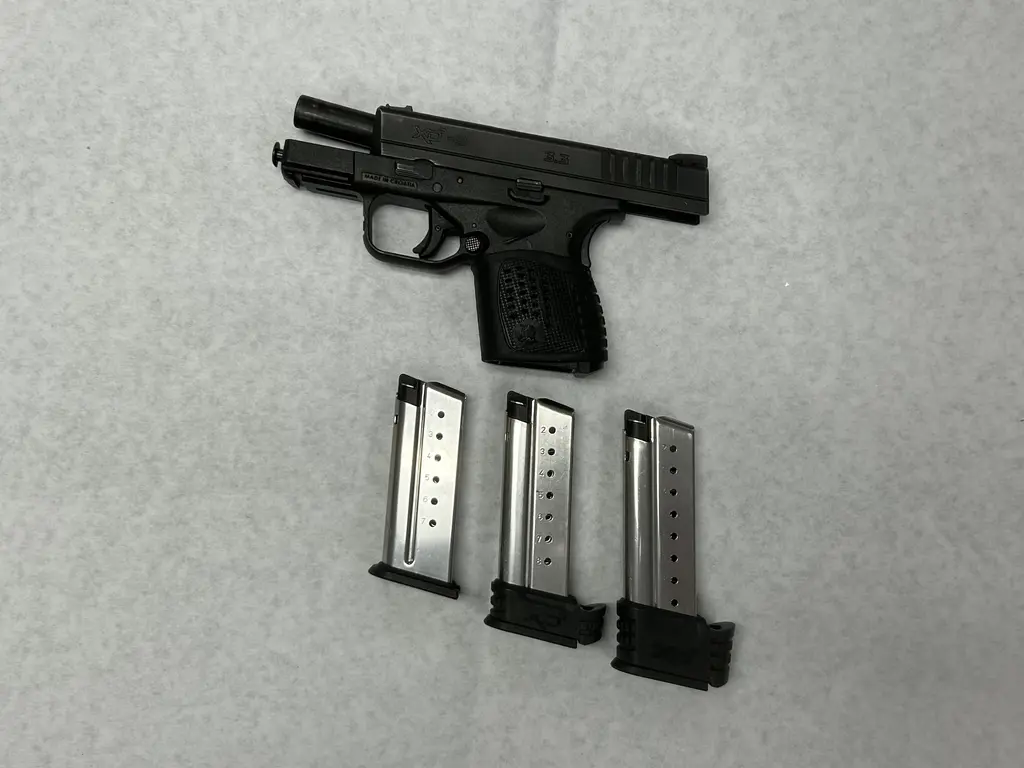 Springfield Arms XDS